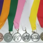 Rider Medals Lesson Plans