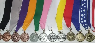 Rider Medals Lesson Plans