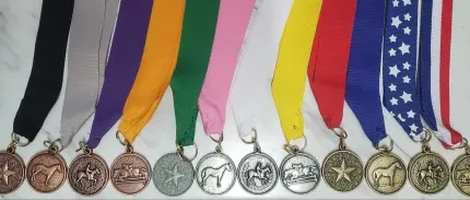 Rider Medals Lesson Plans